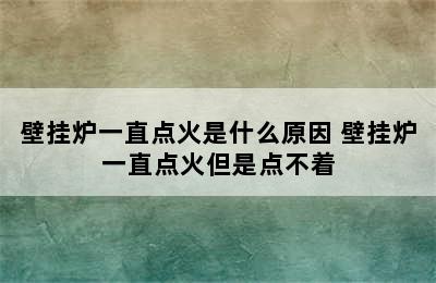 壁挂炉一直点火是什么原因 壁挂炉一直点火但是点不着